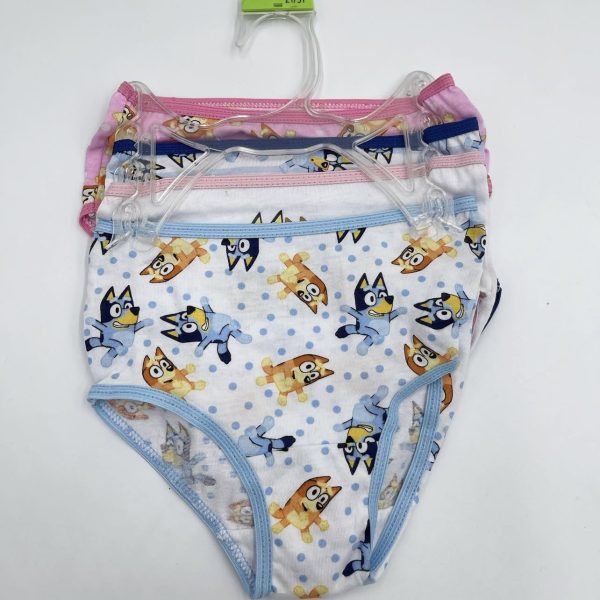 Pack de 4 Calzones - Bluey - Talla 2